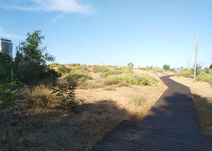 Bonita アパート *