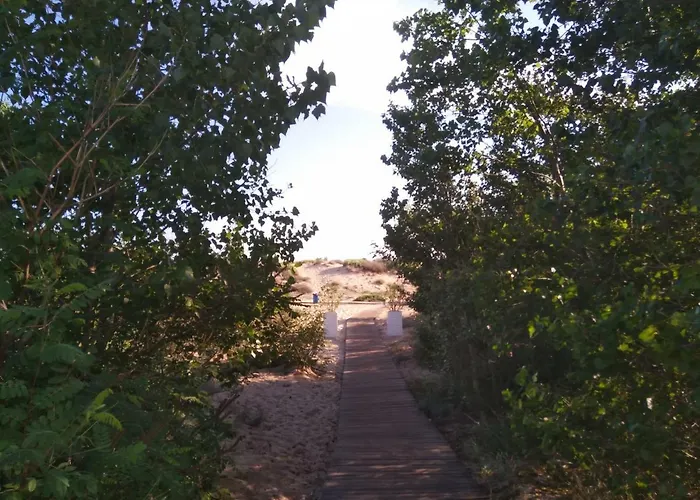 Bonita Lejlighed Sunny Beach